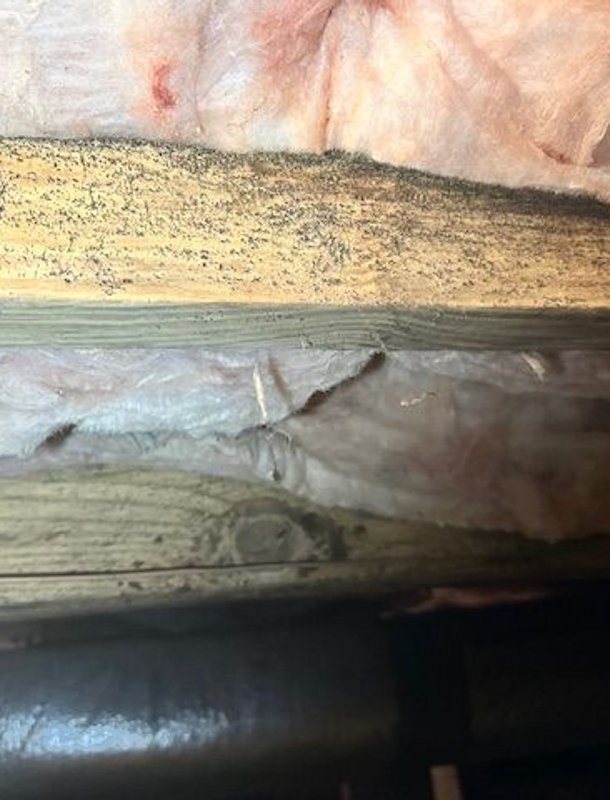 Visible mold on wood before remediation