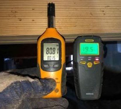 Mold inspection on crawl space framing