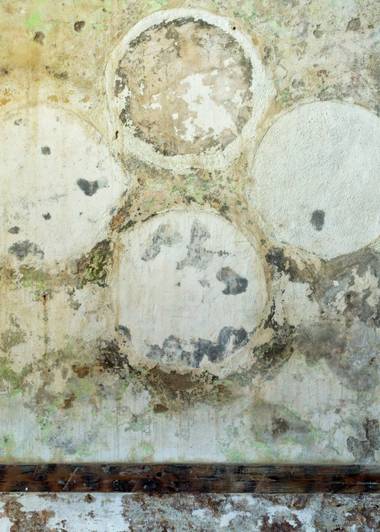 Mold growth on crawl space wood in a Triangle home